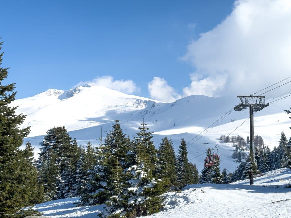 pine trees in the foreground snowy landscape from Uludag in the background. High quality photo