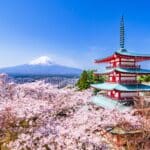 Arakurayama Sengen Park in spring. A breathtaking view from the observation deck. Full bloom cherry blossoms, the Chureito Pagoda, and Mount Fuji. - Yamanashi, Japan