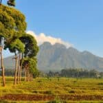Virunga Mountains in Rwanda