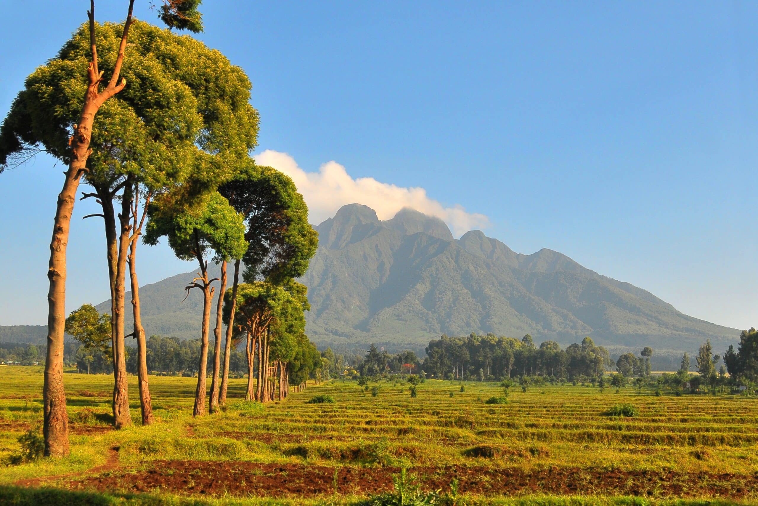Virunga Mountains in Rwanda