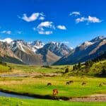 Kyrgyzstan nature landscape. Beautiful green alpine meadows with horses and river against Tien-Shan mountains in Kyrgyzstan