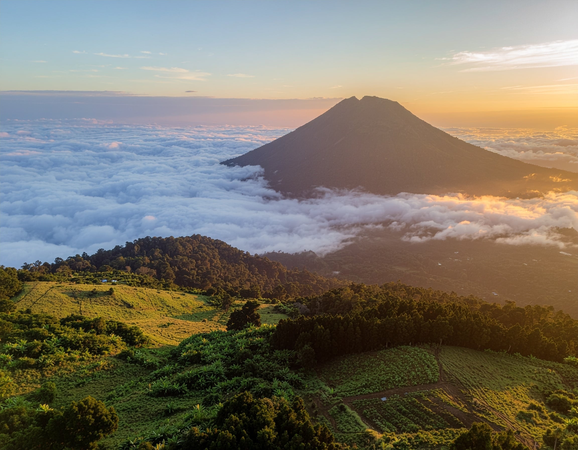 Mount Cameroon, also known as Fako, is the highest mountain in West Africa, standing at about 4,040 meters (13,255 feet). Located near the Gulf of Guinea in southwestern Cameroon.