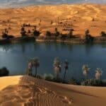 africa, arid climate, color image, day, desert, dunes of ubari, grass, horizontal, landscape, libya, nature, no people, north africa, oasis, outdoors, palm tree, photography, sahara desert, sand, sand