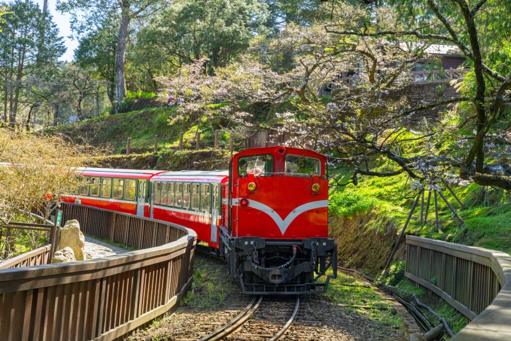
railway in alishan forest recreaction area