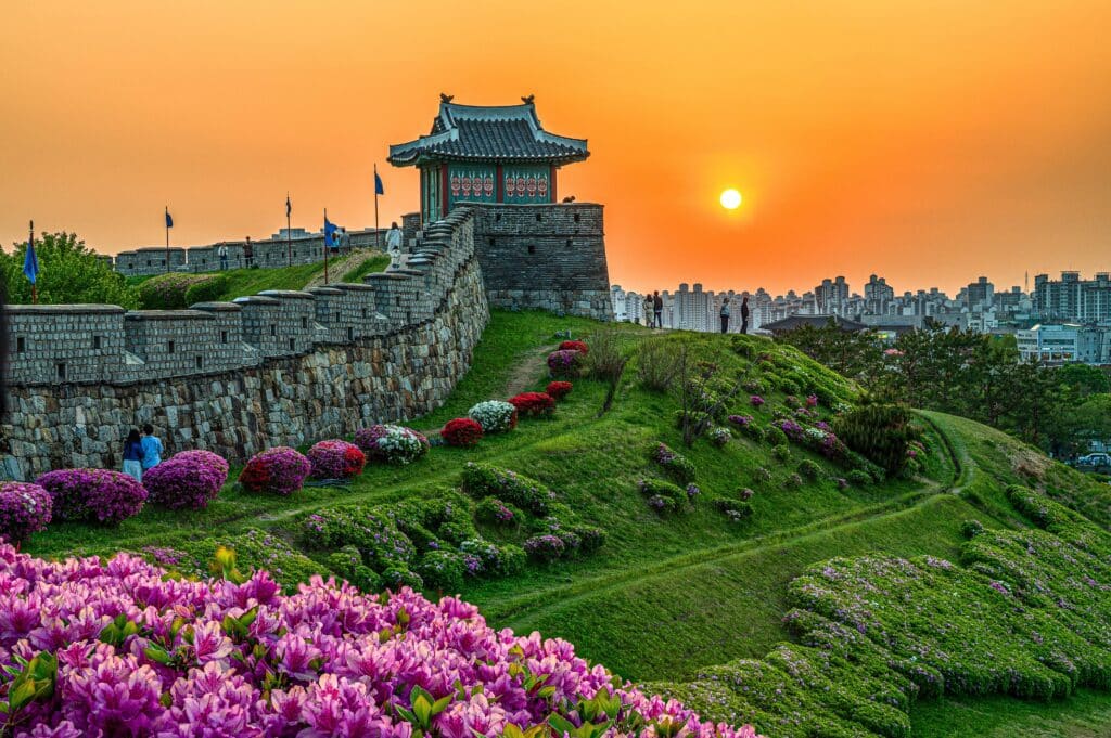 Hwaseong Fortress walls in Suwon during sunset with flowers