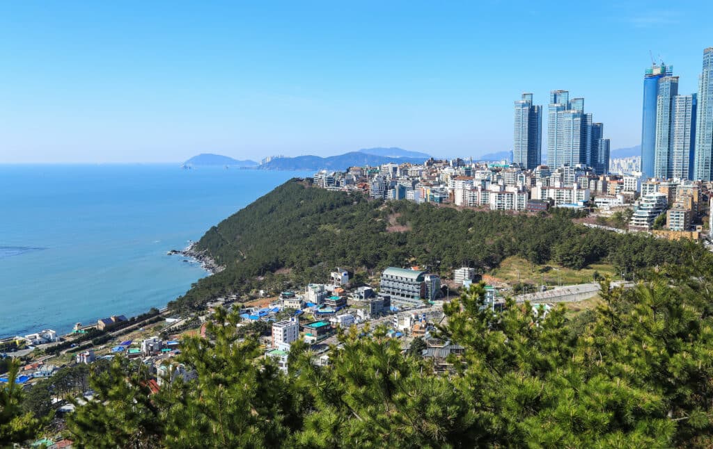 Busan coastal skyline with high-rise buildings overlooking the sea from elevated viewpoint