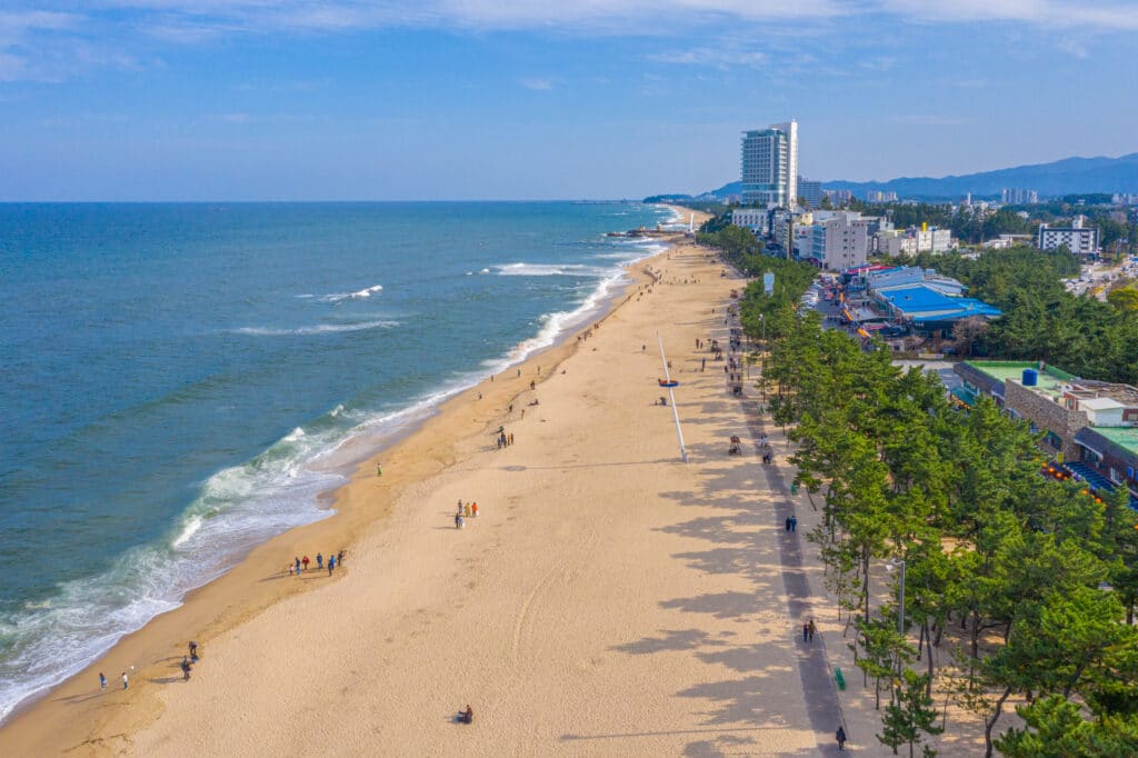 Aerial view of Gangneung coastline and sandy beach South Korea
