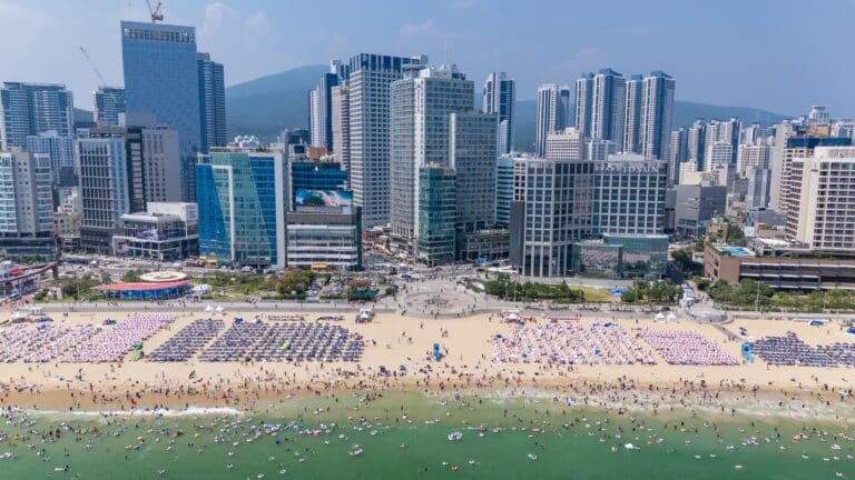 Crowded Haeundae Beach with umbrellas and swimmers in Busan