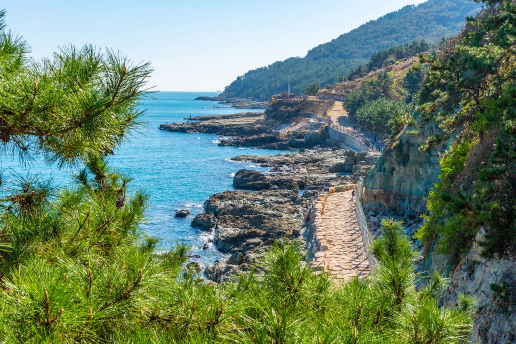 The Busan Cinema Center hosts the famous Busan International Film Festival