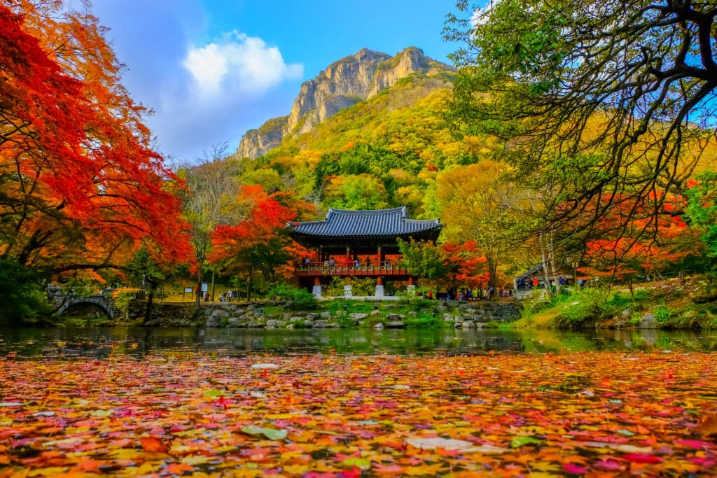 Naejangsan temple surrounded by colorful autumn foliage South Korea