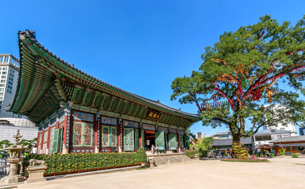 Famous Jogyesa Temple and decorated Chinese Scholar Tree