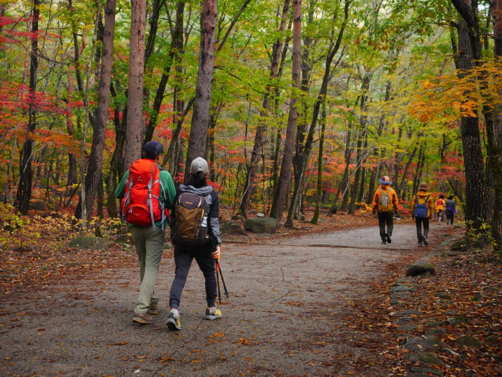 Seoraksan National Park, South Korea - Hikers walking on a trail in autumn.