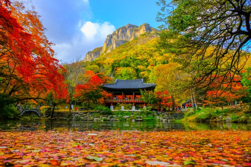 Colorful autumn with beautiful leaf at Baekyangsa temple in Naejangsan national park, South Korea.
