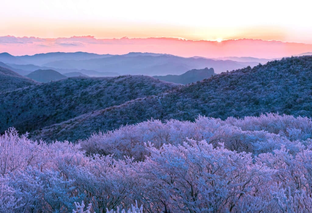 Snow covered mountains at sunrise in Taebaeksan National Park South Korea