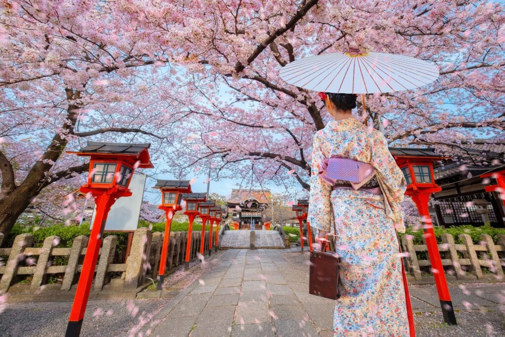 Woman in kimono standing beneath cherry blossoms at a shrine in Japan during spring