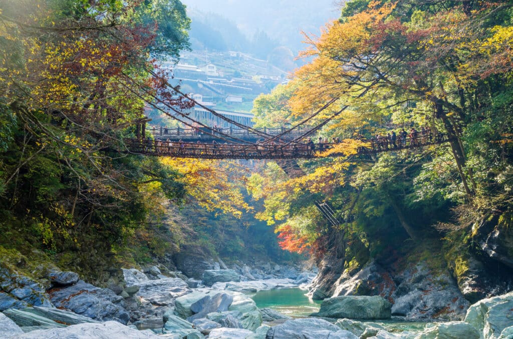 Traditional vine bridge in Iya Valley surrounded by forest and river