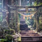 Hidden forest shrine in Japan with torii gate and stone steps