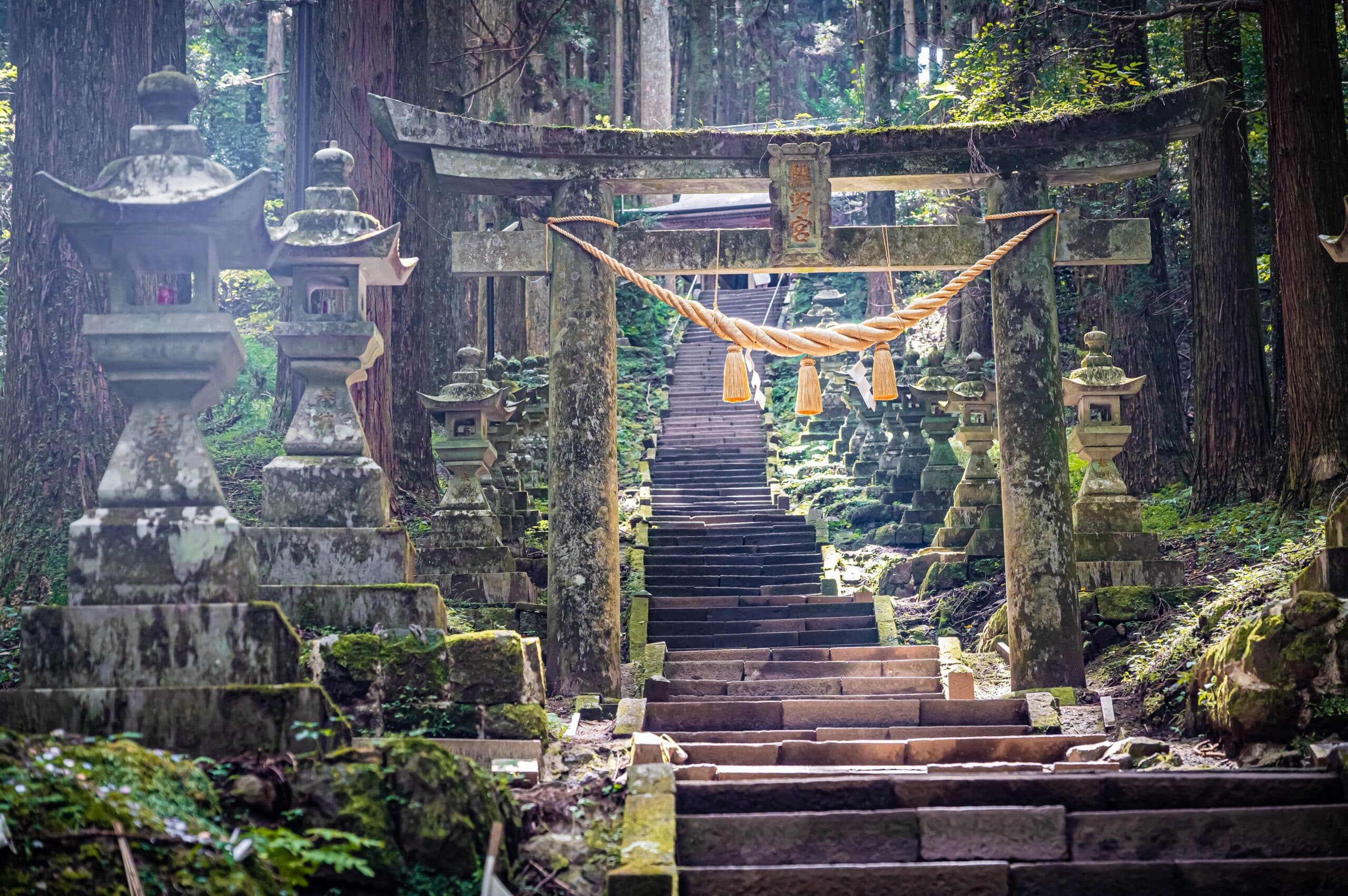 Hidden forest shrine in Japan with torii gate and stone steps