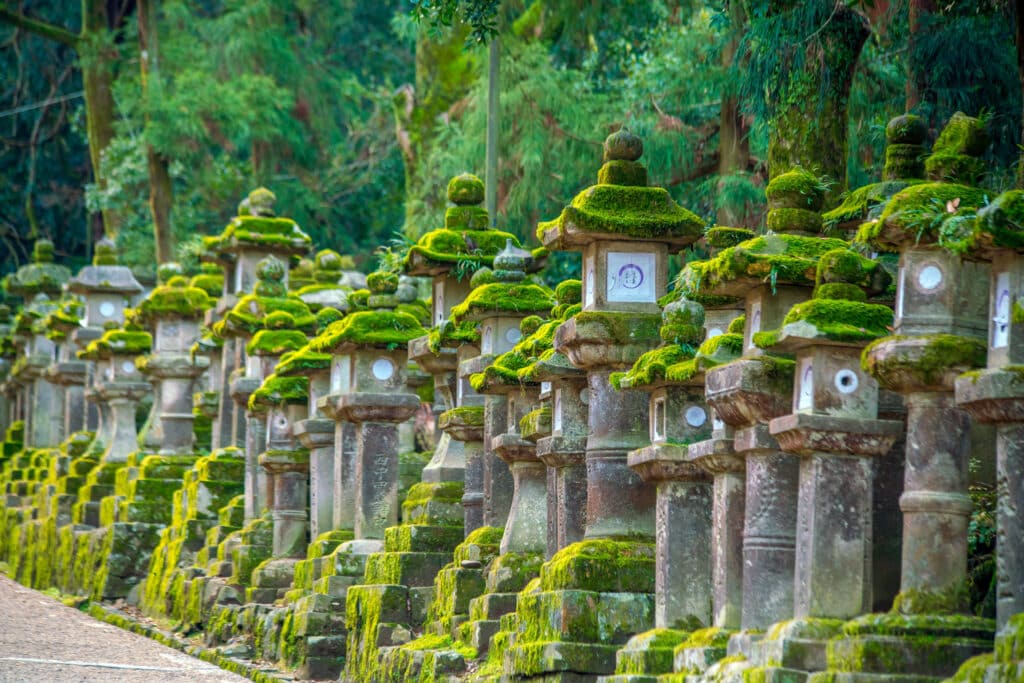 Stone lanterns covered in moss at Kasuga Taisha shrine in Nara