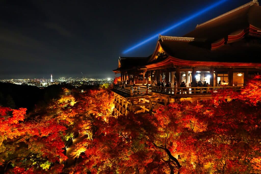 Autumn foliage illuminated around Kiyomizu-dera Temple in Kyoto, Japan at night