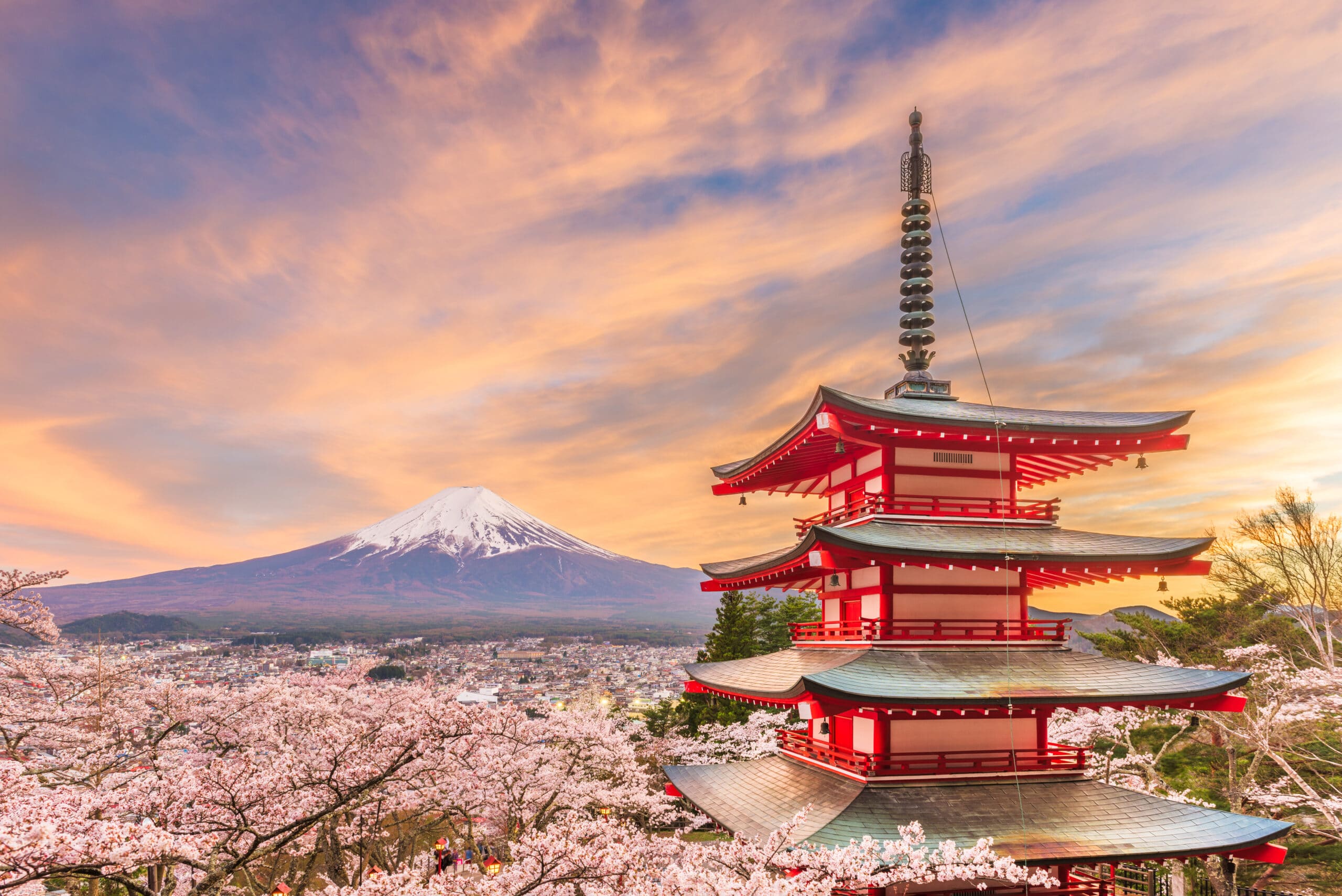 Chureito Pagoda with Mount Fuji during evening light and cherry blossoms