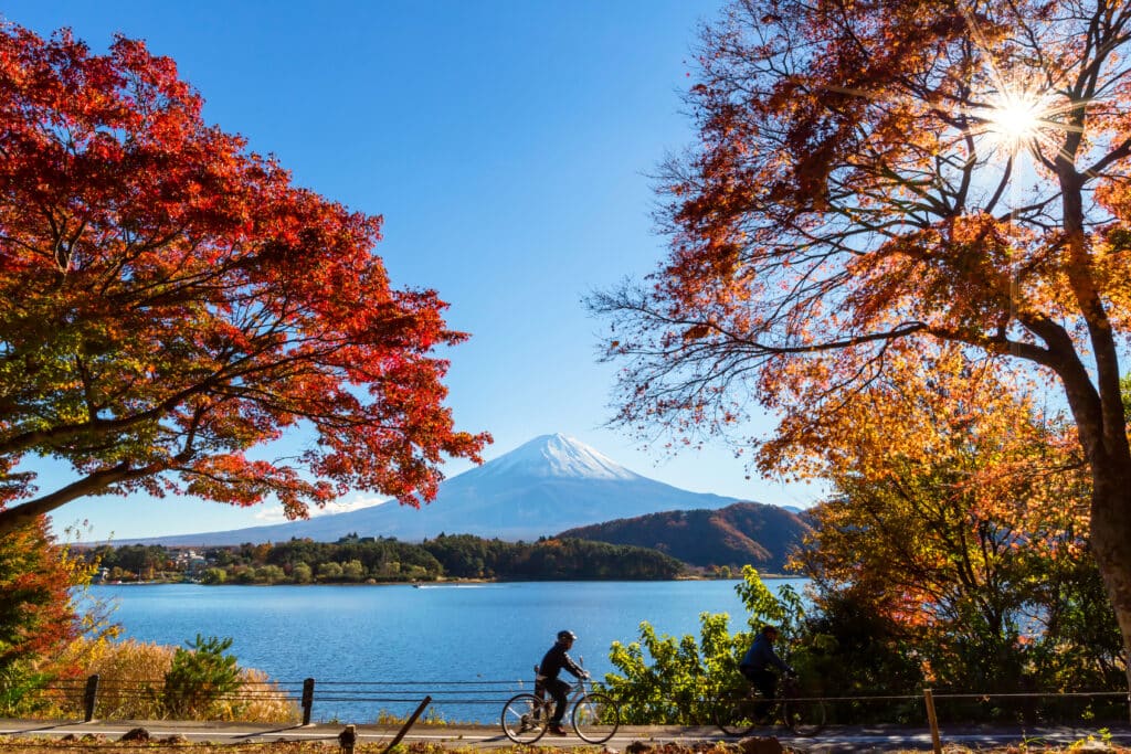 Cyclists riding along Lake Kawaguchiko with Mount Fuji and autumn foliage