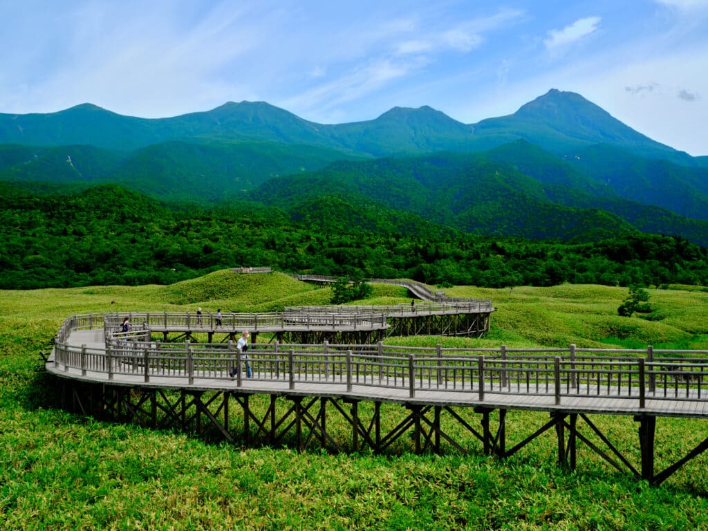 Wooden boardwalk in Shiretoko National Park surrounded by lush green nature