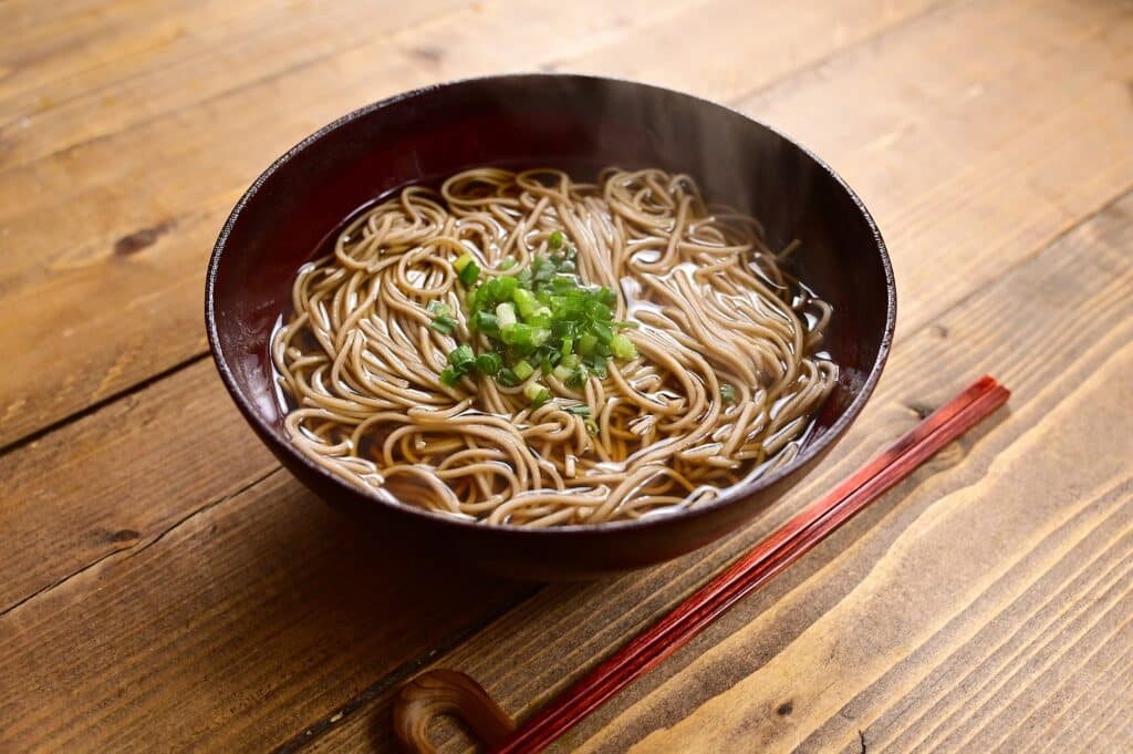 Japanese soba noodles in broth with green onions