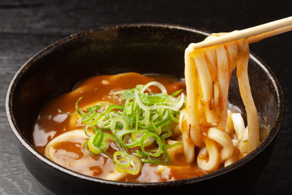 Thick udon noodles in soup with green onions