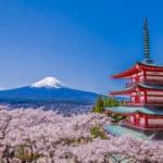 Chureito Pagoda overlooking Mount Fuji and blooming cherry blossoms during spring in Japan