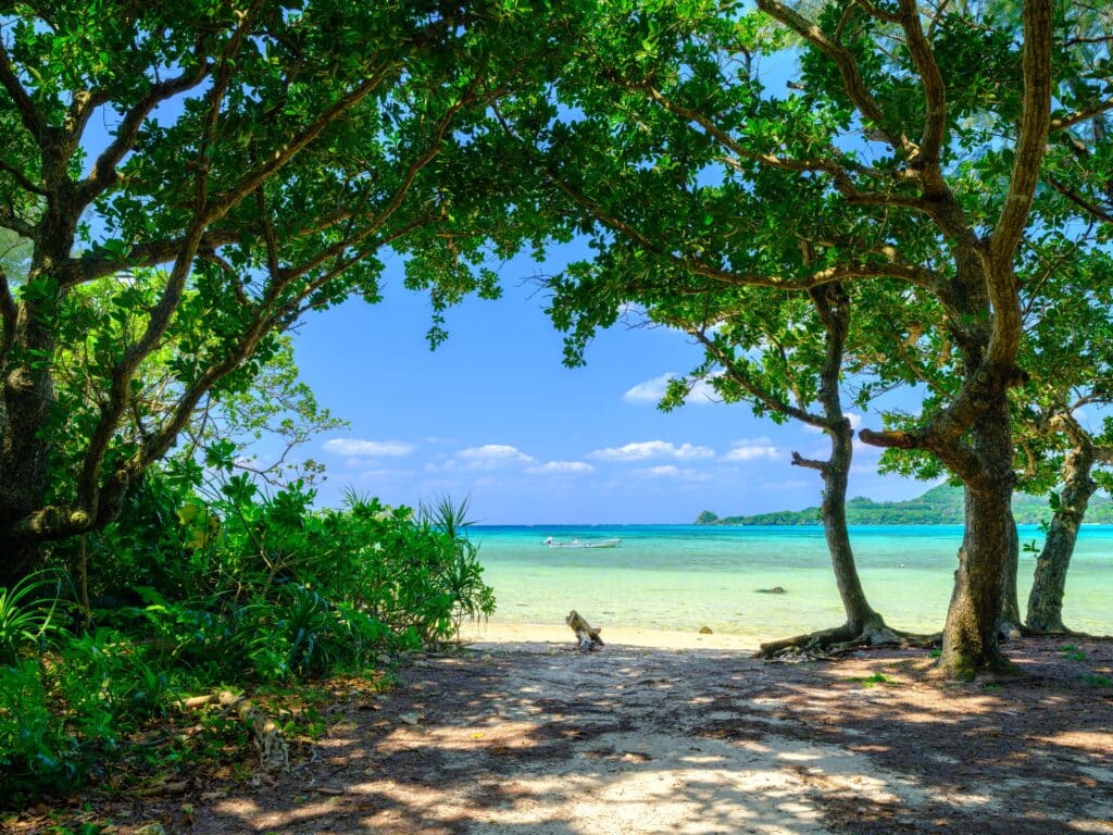Hidden tropical beach framed by trees in Okinawa Japan