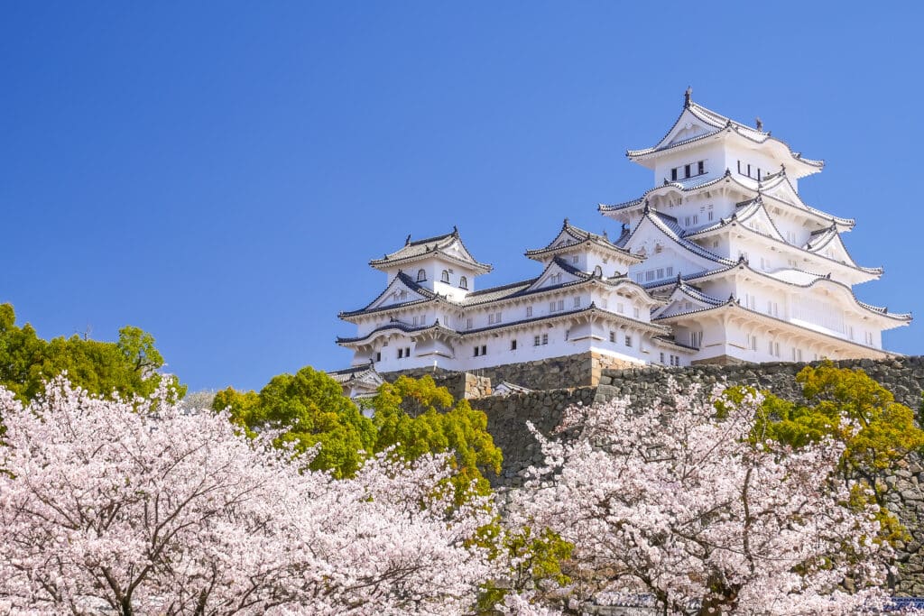 Himeji Castle framed by blooming cherry blossoms under a clear spring sky