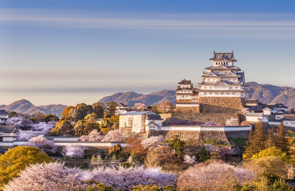 Himeji Castle surrounded by cherry blossoms during spring in Japan