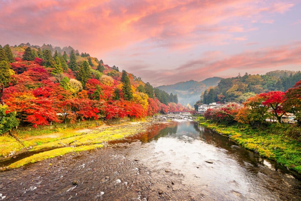 Colorful autumn foliage along a river in rural Japan during sunset