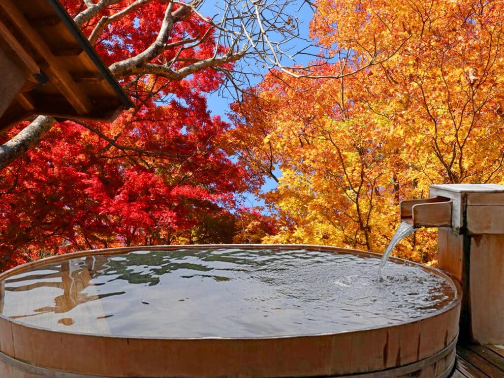 Japanese outdoor onsen surrounded by autumn leaves