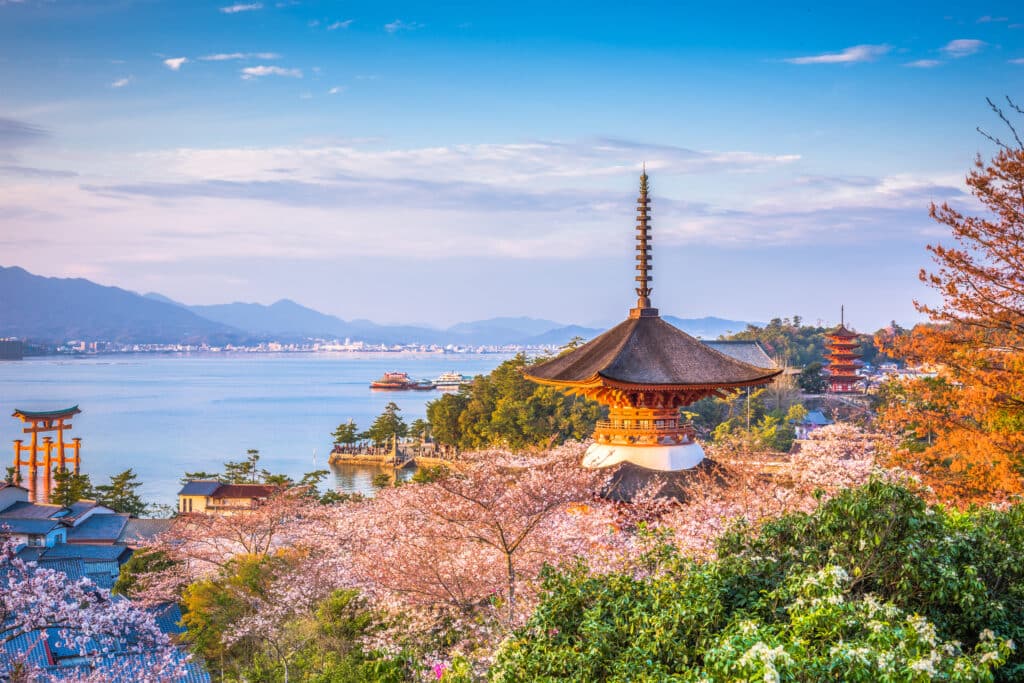 Cherry blossoms and historic pagoda overlooking Miyajima Island in spring
