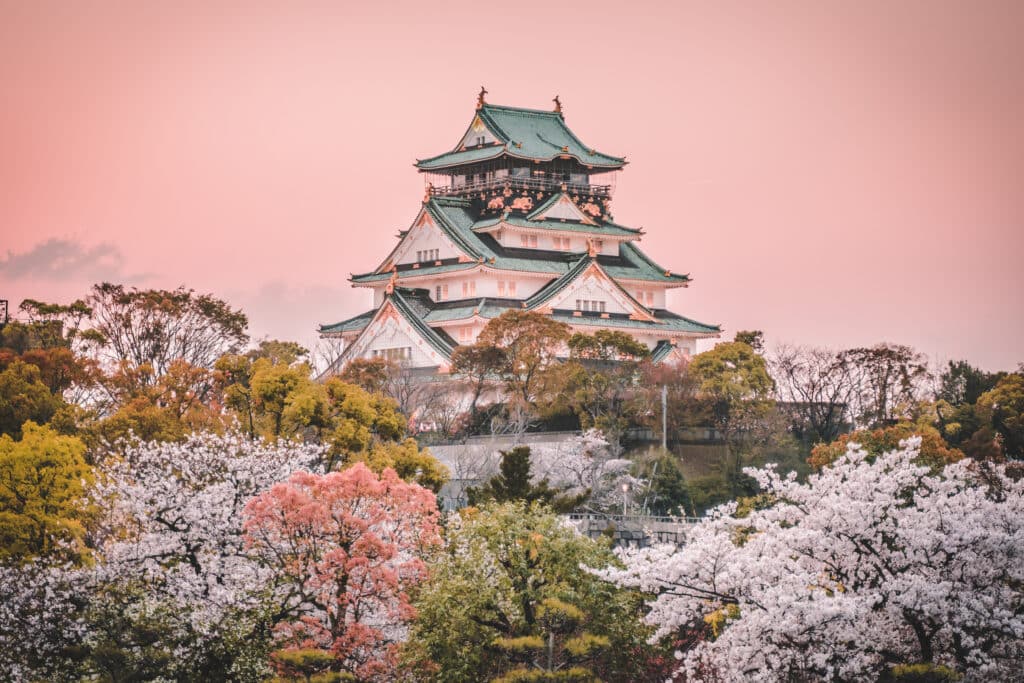 Osaka Castle surrounded by cherry blossom trees during spring in Japan