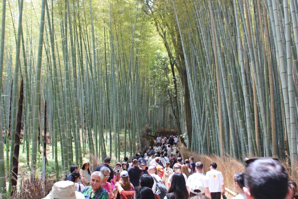 Crowds walking through the Arashiyama Bamboo Grove in Kyoto
