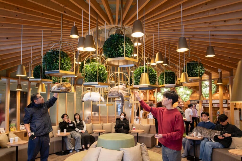 Visitors interacting with cats inside a modern cat café in Tokyo