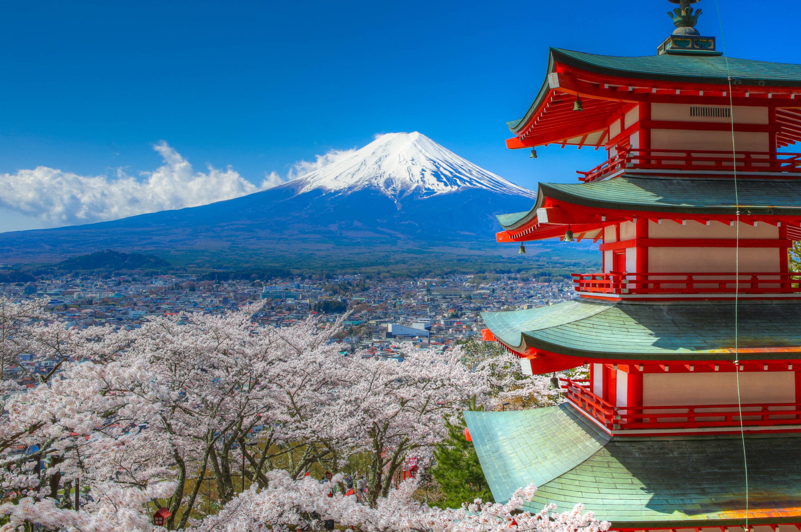 Chureito Pagoda overlooking Mount Fuji surrounded by cherry blossoms