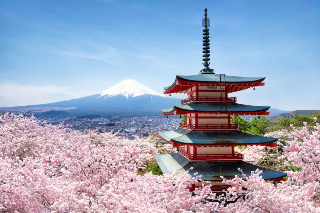 Chureito Pagoda surrounded by cherry blossoms with Mount Fuji behind it