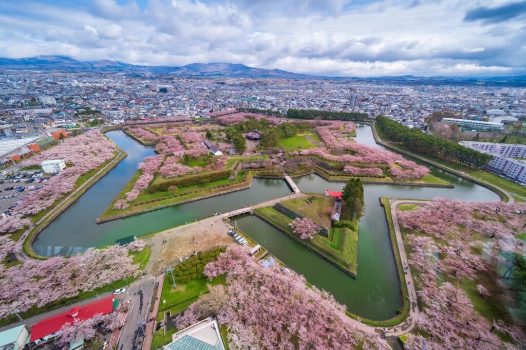 Aerial view of Goryokaku Fort surrounded by cherry blossoms in Hakodate