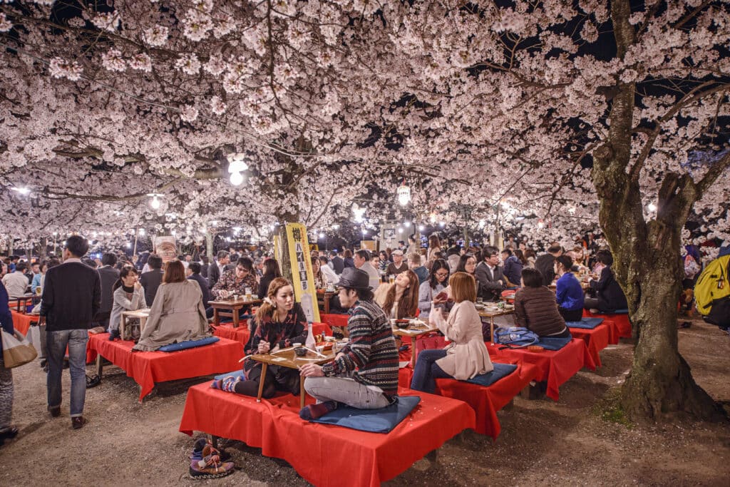 Visitors enjoying a traditional hanami picnic beneath cherry blossoms at night