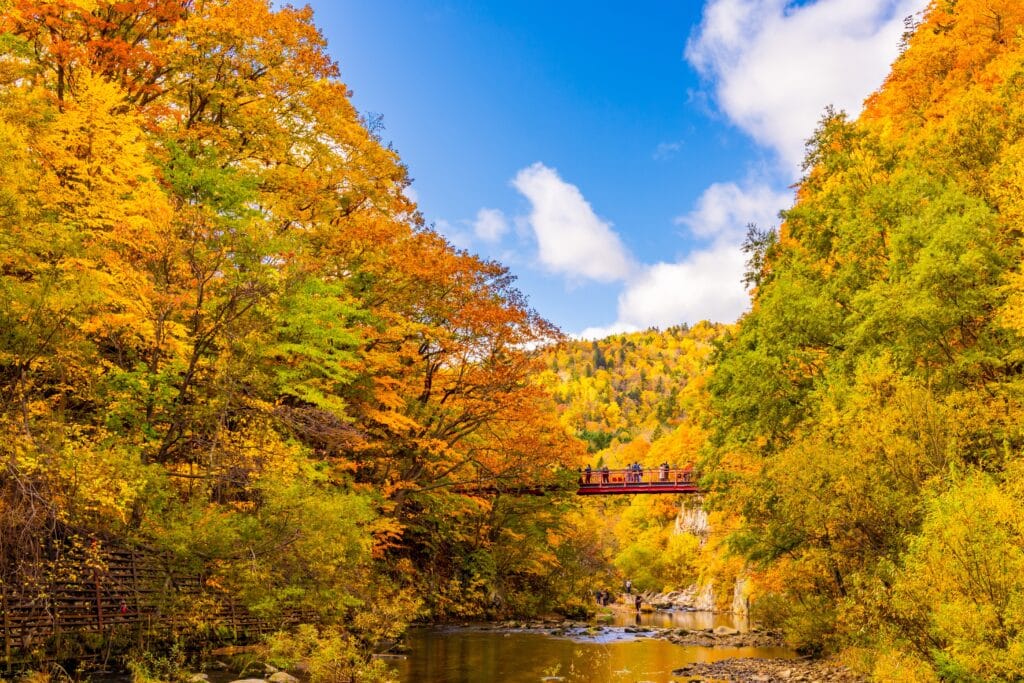 Autumn foliage in a mountain valley in Japan with colorful trees, a river, and a red bridge