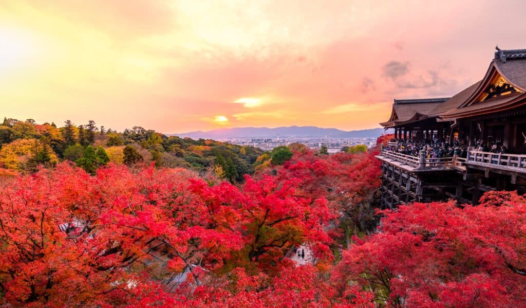 Kiyomizu-dera Temple overlooking brilliant red autumn foliage in Kyoto