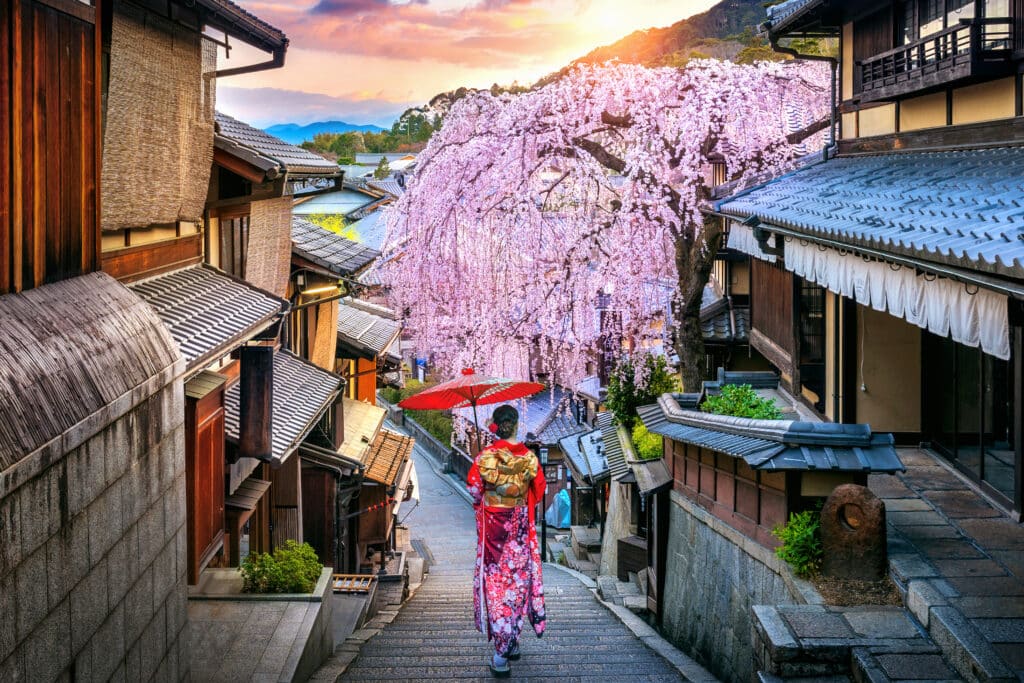 Traditional street in Kyoto's Higashiyama district with cherry blossoms in full bloom during April