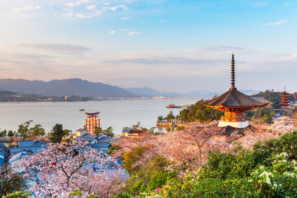 Miyajima's famous pagoda and torii gate surrounded by cherry blossoms