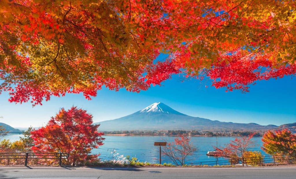 Mount Fuji framed by red autumn maple leaves near Lake Kawaguchiko