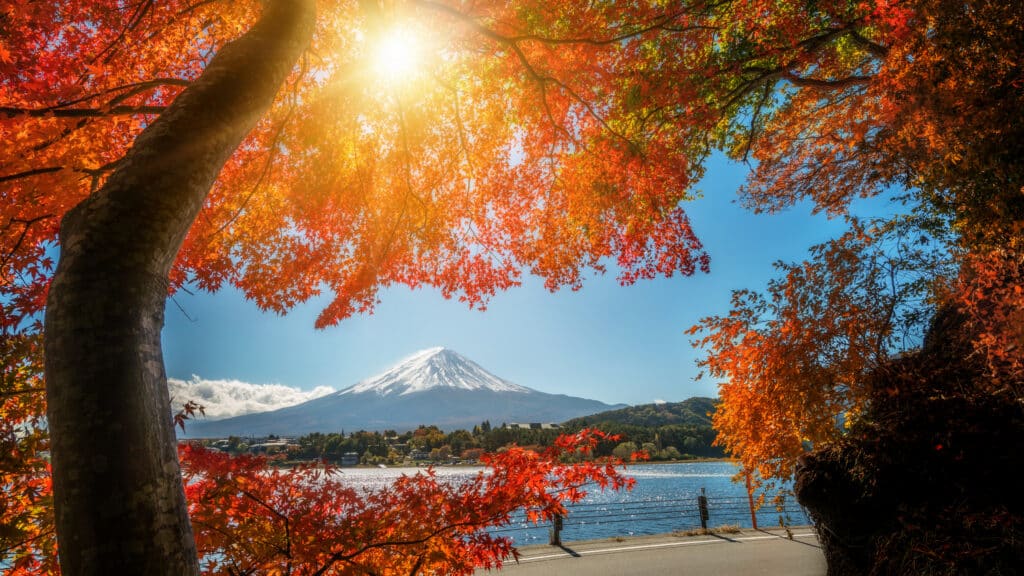 Mount Fuji framed by colorful autumn leaves in October