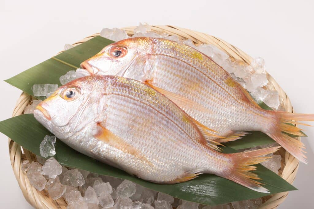 Fresh sea bream displayed on ice at a seafood market in Nagasaki